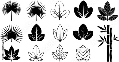 Diverse vector leaf silhouettes collection featuring palm broadleaf spinach and bamboo plant elements isolated on white background
