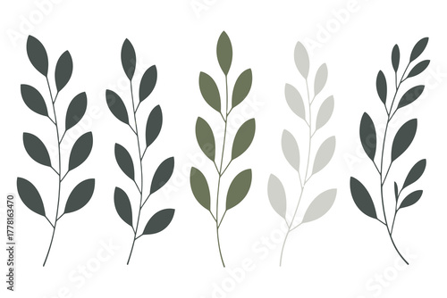Stylized botanical branches with muted green and dark gray leaves on a white background