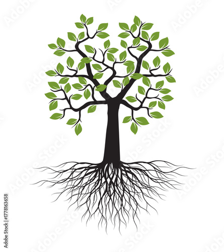 Shape of green Tree with Leaves and Roots. Vector outline Illustration.