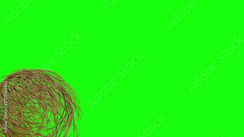 Animation of Tumbleweed rolling on on green screen. Dry plant rotating on the ground passing in front of the screen at the bottom. Western, Silence, Desert, Deserted, Empty, Lonely, Dead, Unpopular.