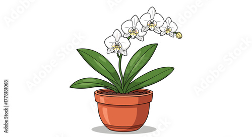 Elegant orchid blossom in a terracotta pot, a peaceful botanical illustration