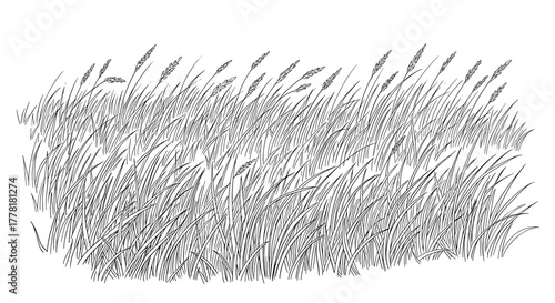 Black and white grassy field illustration on a clear background