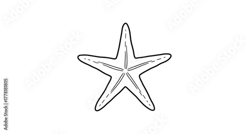 Simple Starfish Illustration for Nautical and Oceanic Themes Designs