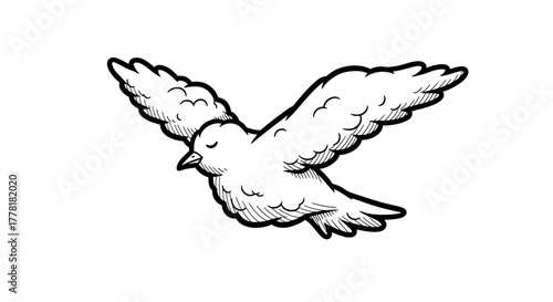 Dove in Flight: Serene Sketch of a Bird with Open Wings