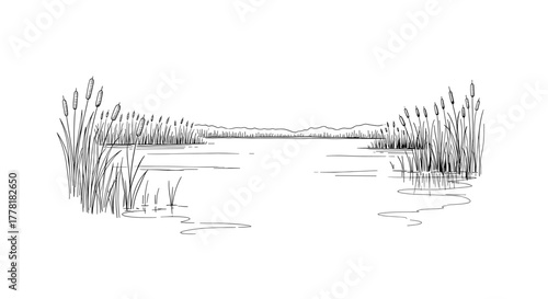 Serene Lakeside Sketch with Cattails and Distant Hills