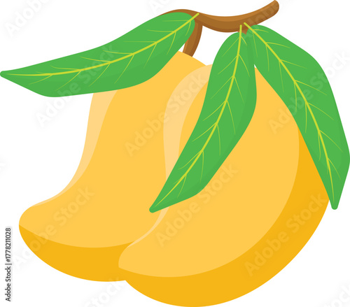 Fresh yellow mangoes with green leaves on a branch, tropical fruit illustration for healthy eating