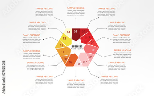 Hexagon shape infographics with 14 options, Multi option infographics with Hexagon shape
