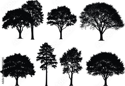 Silhouette collection of different tree shapes, natural forest vegetation design, black and white botanical elements, eco nature vector illustration for landscape decoration