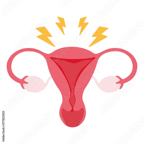 Uterus experiencing menstrual pain or period cramps