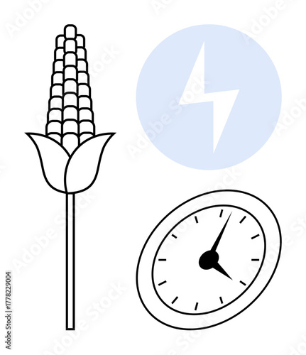 Corn stalk paired with a clock and energy bolt emphasizes time, agriculture, sustainability, and green energy. Ideal for ecology, fuel alternatives, efficiency, farming, renewable resources clean