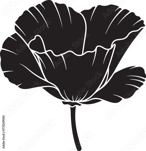 Silhouette of California poppy