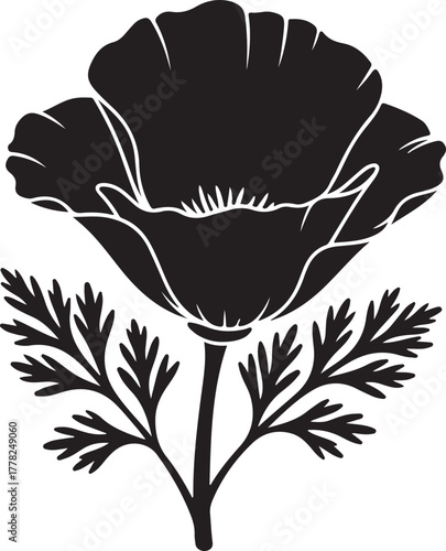 Silhouette of California poppy