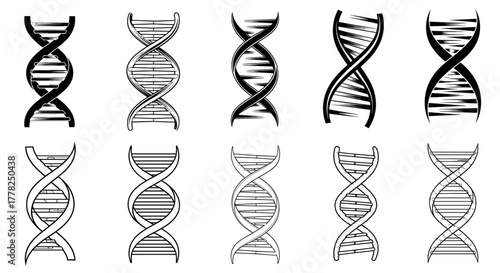 Discover the intricate beauty of DNA structures, showcasing diverse stylized genetic helix designs perfect for scientific and medical projects.