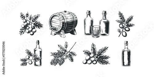 Still life drawings of grape vine, berry branch, barrel, and bottles