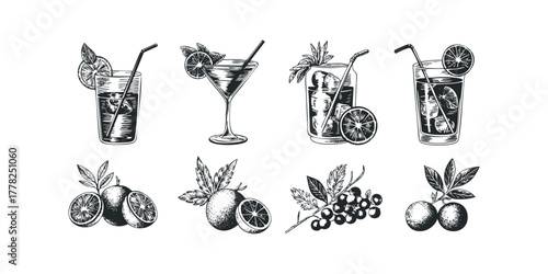 Assorted hand drawn cocktails and fresh fruit sketches