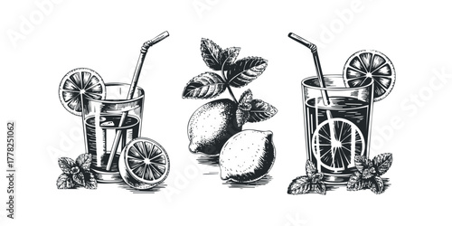 Monochrome Illustration of Refreshing Citrus Drinks with Mint and Lemon Slices