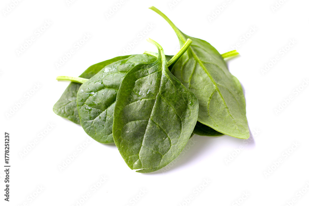 Fototapeta premium Spinach leaves isolated on white background