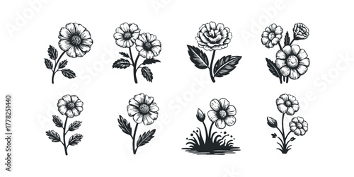 Collection of Stylized Floral Line Art Elements