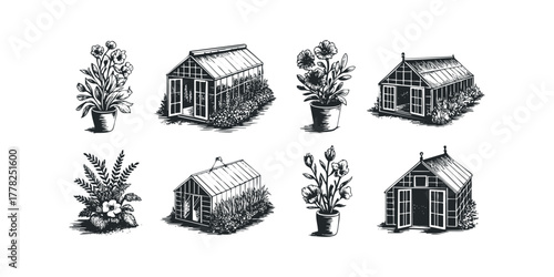 Collection of Greenhouse and Potted Flower Illustrations