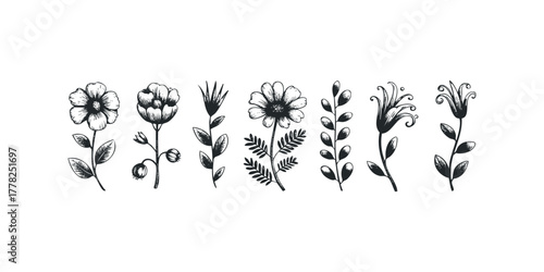Hand-drawn collection of botanical floral illustrations