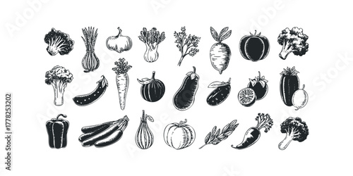 Assortment of hand drawn vegetables and produce