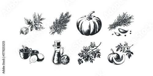 Line art collection of autumn harvest ingredients and cooking tools