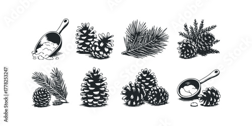 Pinecone and Evergreen Branch Collection with Scoops