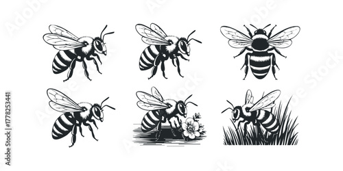 Six bee graphics with varied poses and settings