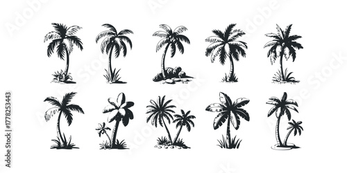 Collection of diverse palm tree silhouettes for tropical settings