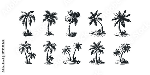 Collection of Hand Drawn Palm Tree Silhouettes