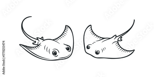 Two stylized stingrays on a white background