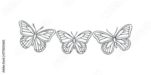 Three outline butterflies flying across white background