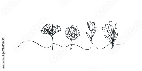Abstract Floral Line Art Collection