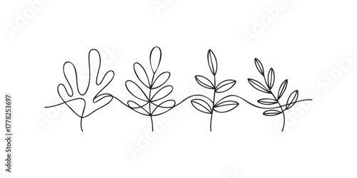 Continuous line drawing of four botanical plant stems