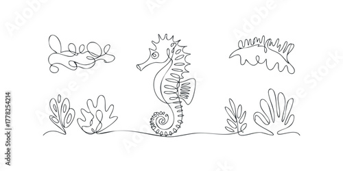 Seahorse and Ocean Flora Line Art