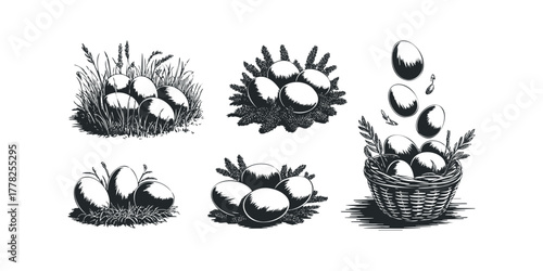 Collection of Eggs in Nature and Basket