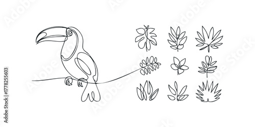 Minimalist Toucan Bird and Tropical Leaves Line Art Collection