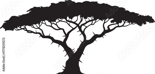 Acacia tree silhouette african savanna wildlife nature landscape africa safari wild environment national park forest outdoor trunk branch africa trees