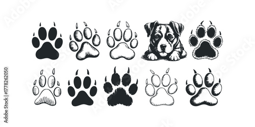Collection of Dog Paw Prints and Puppy Portrait