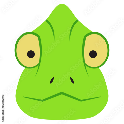 chameleon head illustration