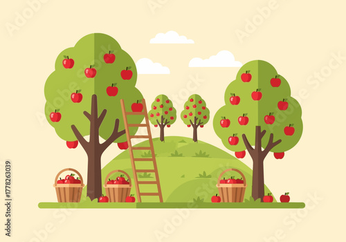 Apple orchard scene with ripe red apples trees ladder and baskets on a grassy hill