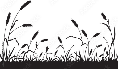 Silhouette of Grass and Wheat Ears on Transparent Background Vector Illustration Graphic with Wild Plants and Rye Sprouts Growing Up