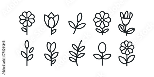Set of simple floral icons and plant branches
