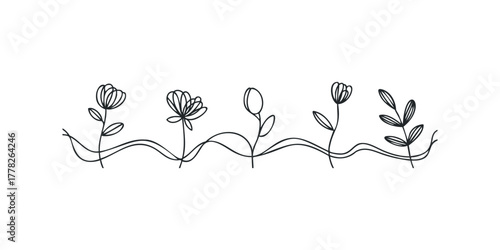 Minimalist Line Art of Blooming Flowers and Leaves Border