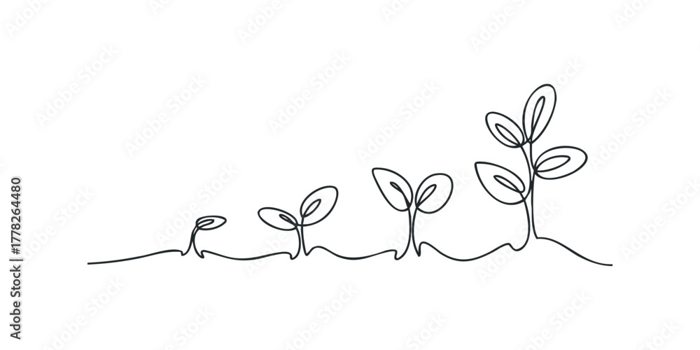 Fototapeta premium Continuous line drawing of growing seedlings in stages