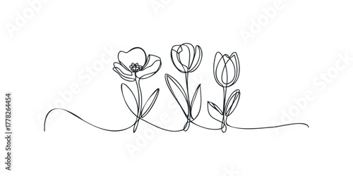 Three continuous line drawing tulips with leaves