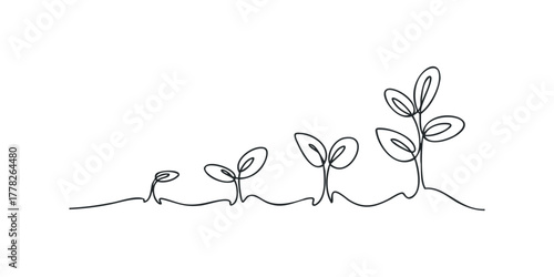 Continuous line drawing of growing seedlings in stages