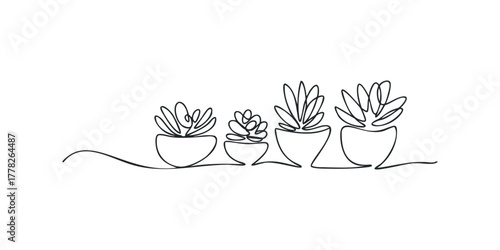 Four Potted Succulent Plants Drawn in Continuous Line Style