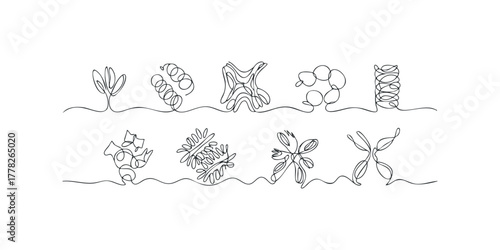 Abstract continuous line art with organic shapes and plant motifs