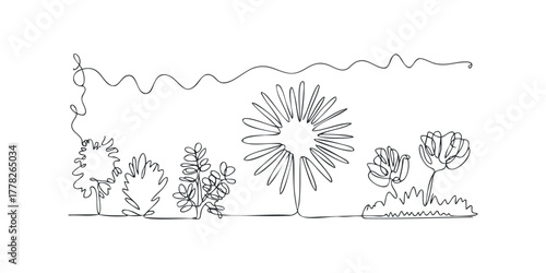 Continuous line drawing of various plants and abstract shapes